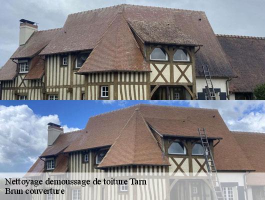 Nettoyage demoussage de toiture 81 Tarn  Brun couverture