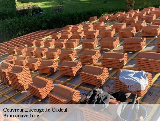 Couvreur  lacougotte-cadoul-81500 Brun couverture
