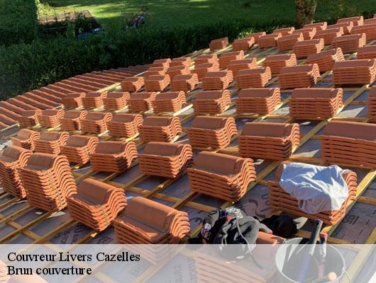 Couvreur  livers-cazelles-81170 Brun couverture