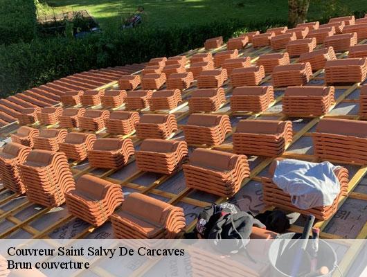 Couvreur  saint-salvy-de-carcaves-81530 Brun couverture
