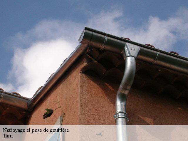 Nettoyage et pose de gouttière Tarn