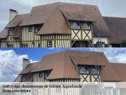 Nettoyage demoussage de toiture  aiguefonde-81200 Brun couverture