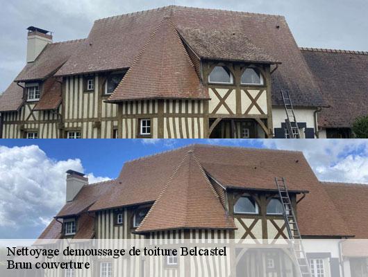 Nettoyage demoussage de toiture  belcastel-81500 Brun couverture