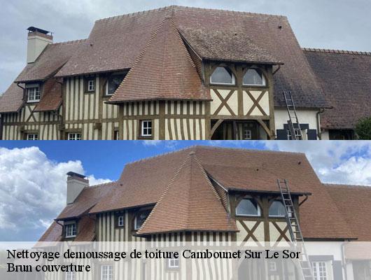 Nettoyage demoussage de toiture cambounet-sur-le-sor-81580 Brun couverture