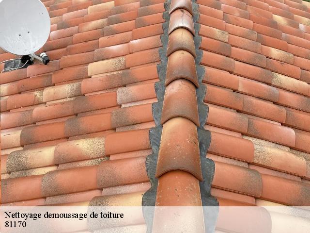 Nettoyage demoussage de toiture 81170