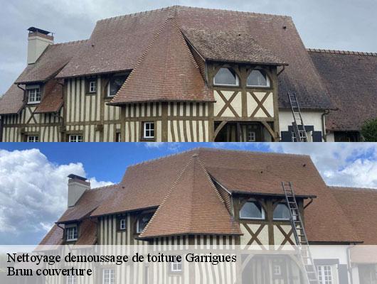 Nettoyage demoussage de toiture  garrigues-81500 Brun couverture