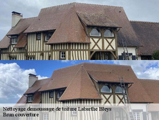 Nettoyage demoussage de toiture  labarthe-bleys-81170 Brun couverture