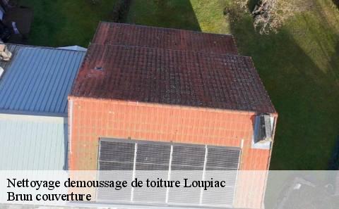 nettoyage-demoussage-de-toiture