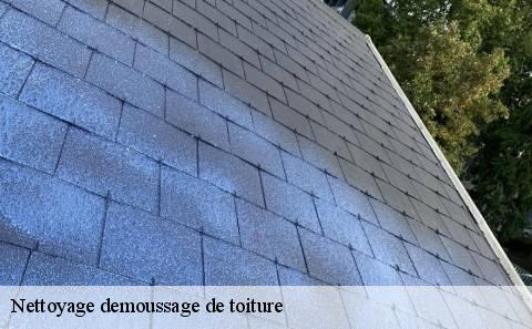 nettoyage-demoussage-de-toiture