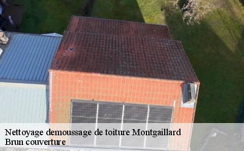 nettoyage-demoussage-de-toiture