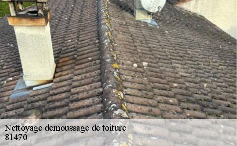nettoyage-demoussage-de-toiture