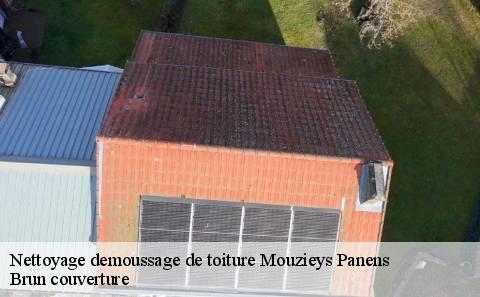 nettoyage-demoussage-de-toiture