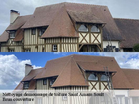 Nettoyage demoussage de toiture saint-amans-soult-81240 Brun couverture