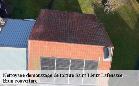 nettoyage-demoussage-de-toiture