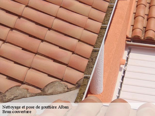 Nettoyage et pose de gouttière  alban-81250 Brun couverture