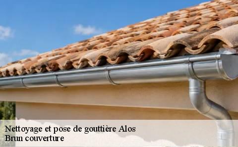 nettoyage-et-pose-de-gouttiere