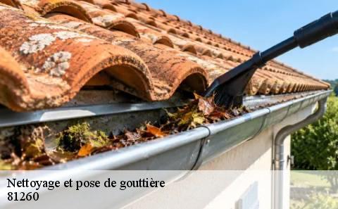 nettoyage-et-pose-de-gouttiere