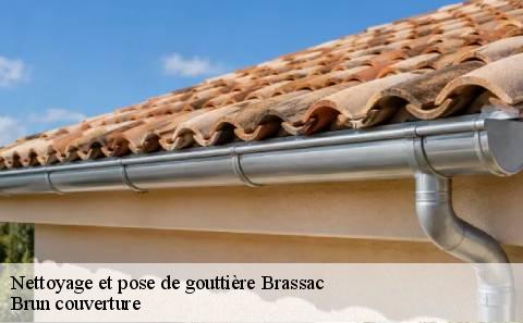 nettoyage-et-pose-de-gouttiere