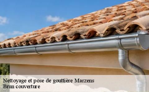 nettoyage-et-pose-de-gouttiere