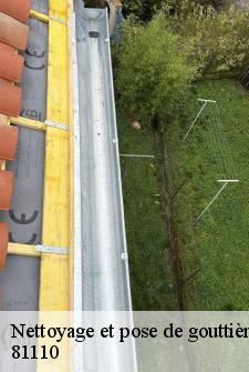 nettoyage-et-pose-de-gouttiere