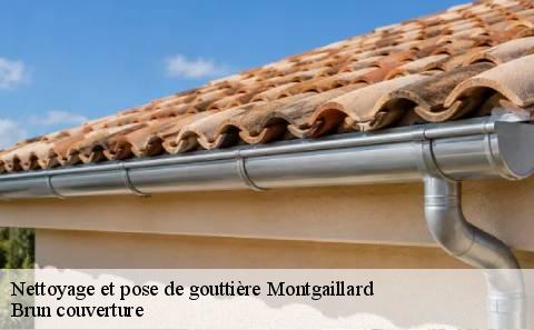 nettoyage-et-pose-de-gouttiere