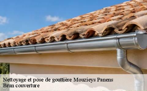 nettoyage-et-pose-de-gouttiere