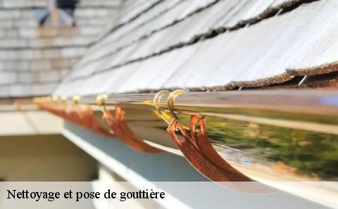nettoyage-et-pose-de-gouttiere