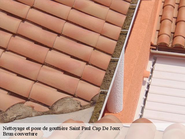 Nettoyage et pose de gouttière  saint-paul-cap-de-joux-81220 Brun couverture