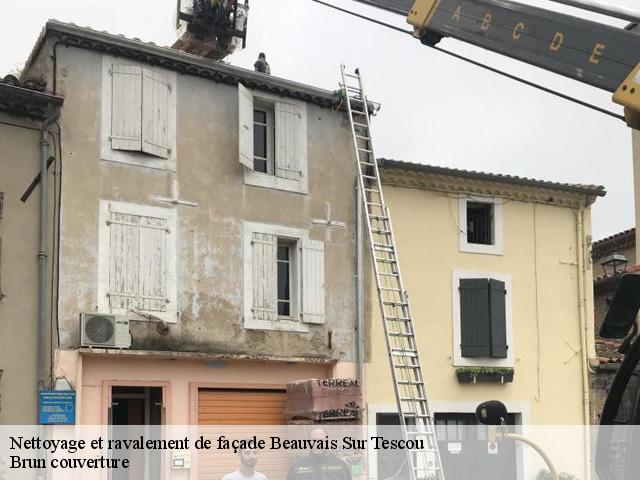 Nettoyage et ravalement de façade  beauvais-sur-tescou-81630 Brun couverture