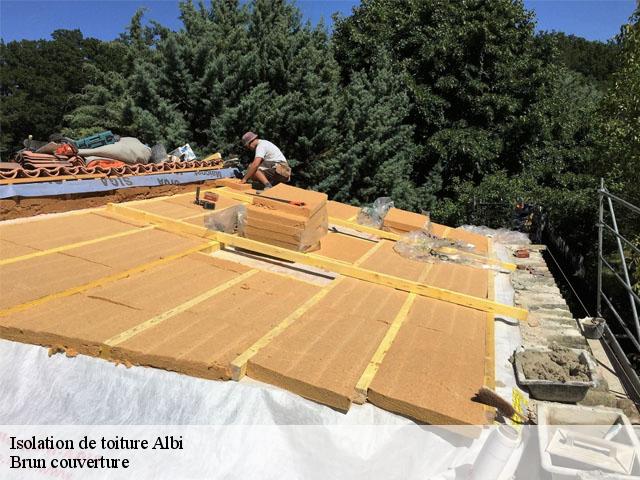 Isolation de toiture  albi-81000 Brun couverture