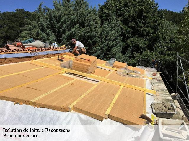 Isolation de toiture escoussens-81290 Brun couverture