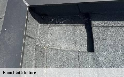 etancheite-toiture