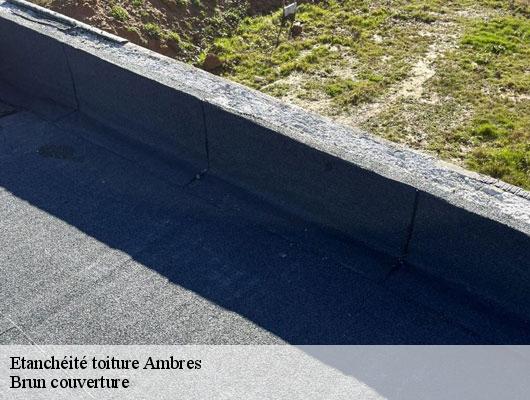 Etanchéité toiture  ambres-81500 Brun couverture