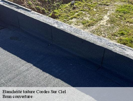 Etanchéité toiture  cordes-sur-ciel-81170 Brun couverture