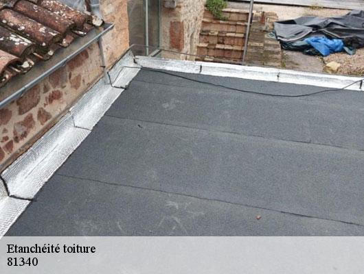 Etanchéité toiture 81340
