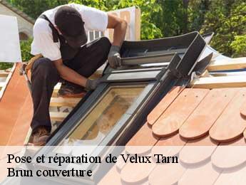 Pose et réparation de Velux 81 Tarn Brun couverture