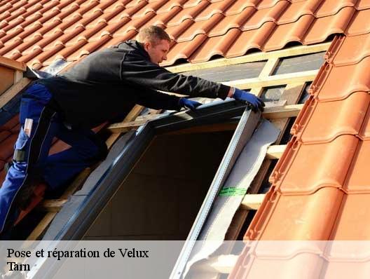 Pose et réparation de Velux Tarn