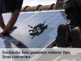 Recherche fuite panneaux solaires 81 Tarn  Brun couverture