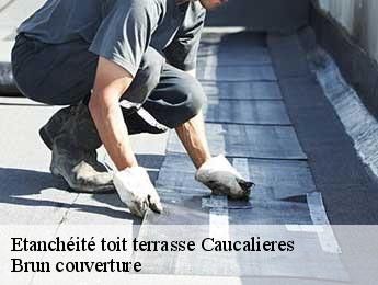 Etanchéité toit terrasse  caucalieres-81200 Brun couverture