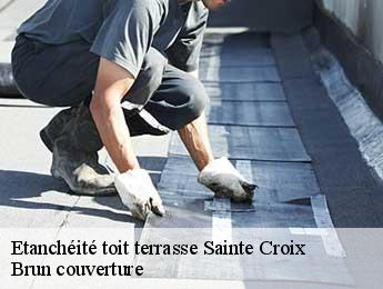 Etanchéité toit terrasse sainte-croix-81150 Brun couverture