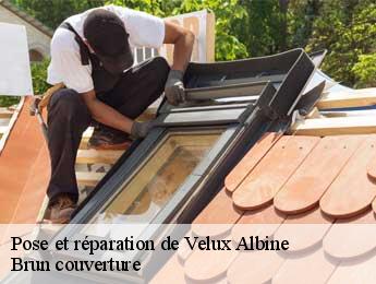 Pose et réparation de Velux  albine-81240 Brun couverture