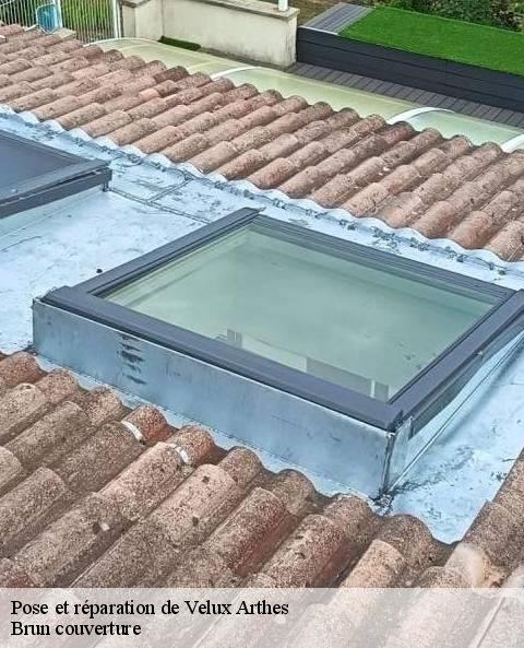 pose-et-reparation-de-velux