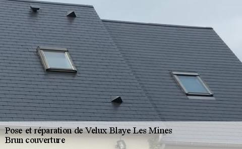 pose-et-reparation-de-velux