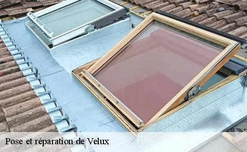 pose-et-reparation-de-velux