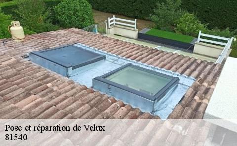 pose-et-reparation-de-velux