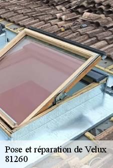 pose-et-reparation-de-velux