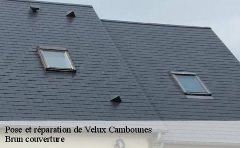pose-et-reparation-de-velux
