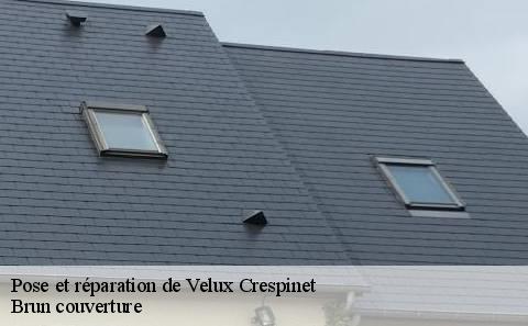 pose-et-reparation-de-velux