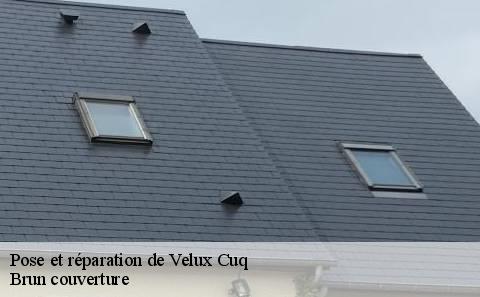 pose-et-reparation-de-velux