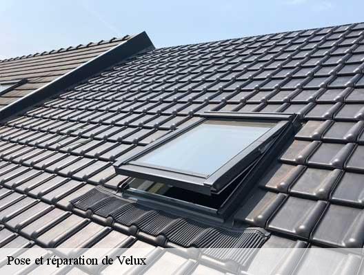 Pose et réparation de Velux